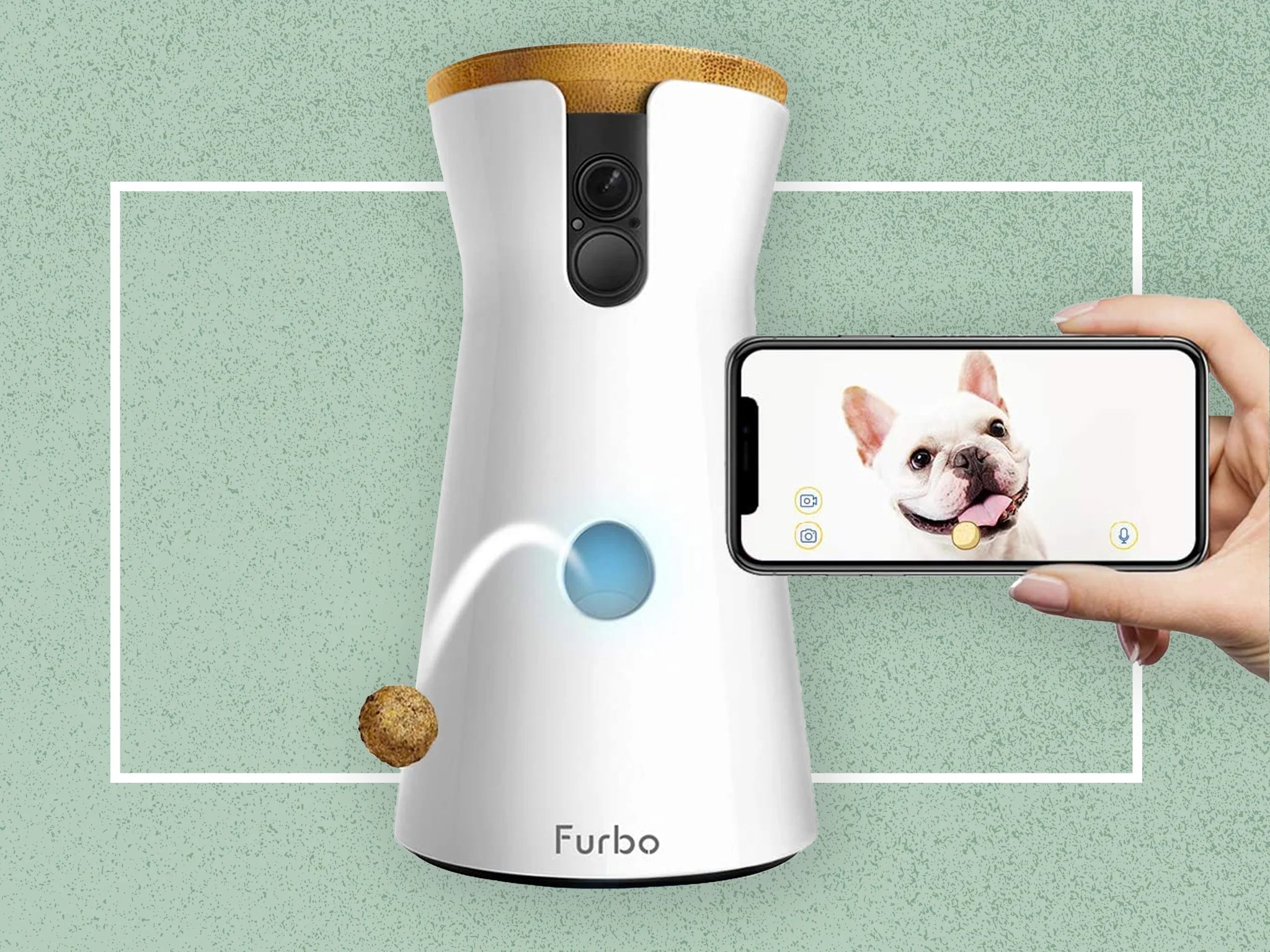 How Much Is A Furbo Dog Camera